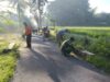 Babinsa Tumpeng Jadi Motor Gotong Royong, Aksi Kopka David Bersihkan Jalan Tuai Apresiasi Warga