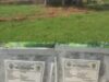 PROYEK TPT.TPS DESA SUMBER NGEPOH JADI SOROTAN, WARGA KECEWA DAN GERAM