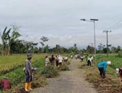 Babinsa dan Warga Sukokerto Kompak Bersihkan Jalan Desa, Wujud Nyata Gotong Royong di Bondowoso
