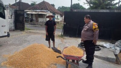 Polsek Kejayan Kawal Pengiriman Hasil Panen Jagung ke Bulog untuk Dukung Ketahanan Pangan Nasional