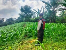 Bhabinkamtibmas Polsek Sukorejo Dampingi Petani Optimalkan Lahan Produktif