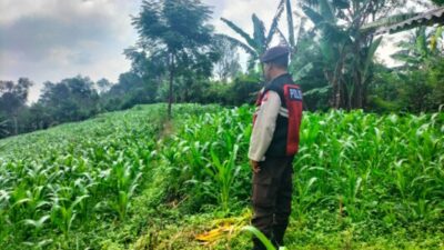Bhabinkamtibmas Polsek Sukorejo Dampingi Petani Optimalkan Lahan Produktif