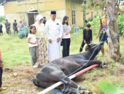 Momen Hangat Idul Adha, Dandim 0822 Bondowoso Berbagi Qurban Bersama Warga