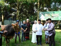 Tebar Kepedulian di Hari Raya, Danrem 083/Bdj Serahkan Hewan Qurban untuk Masyarakat