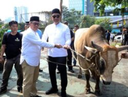MAKNAI IDUL ADHA DENGAN KEIKHLASAN DAN INTEGRITAS, KEPALA BNN RI SERAHKAN HEWAN KURBAN