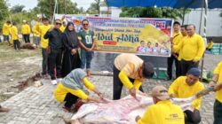 PWMOI Riau dan DNT Tour and Travel Sembelih 4 Ekor Sapi