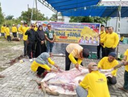 PWMOI Riau dan DNT Tour and Travel Sembelih 4 Ekor Sapi