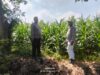 Polisi Turun ke Sawah, Pantau Tanaman Hortikultura demi Ketahanan Pangan Nasional
