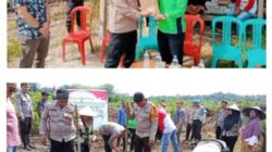 Dukung Swasembada Pangan 2026: Kapolsek Kampar Turun Langsung Tanam Jagung Bersama Petani,Polri Cinta Petani