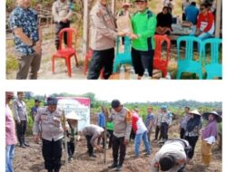 Dukung Swasembada Pangan 2026: Kapolsek Kampar Turun Langsung Tanam Jagung Bersama Petani,Polri Cinta Petani