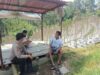 Bhabinkamtibmas Desa Gendro Tinjau Tanaman Cabai dalam Program Pekarangan Pangan Bergizi