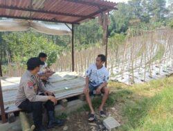 Bhabinkamtibmas Desa Gendro Tinjau Tanaman Cabai dalam Program Pekarangan Pangan Bergizi
