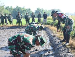 Dari Sawah untuk Negeri,Kodim 0822 Gembleng Puluhan Pelaku Hanpangan Demi Ketahanan Pangan yang Tangguh