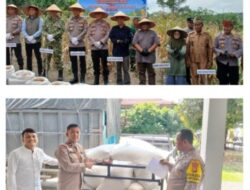 Kapolsek Kampar Kawal Pengiriman Hasil Panen Jagung Petani ke Bulog