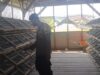 Bhabinkamtibmas Masangan Monitoring Peternakan Puyuh Produktif Milik Bumdes