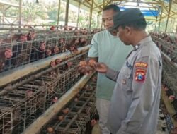 Bhabinkamtibmas Polsek Rembang Laksanakan Pemantauan Peternakan Ayam Petelur Dukung Ketahanan Pangan Nasional