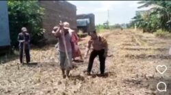 Polsek Tosari Pantau Lahan Kentang di Ngadiwono, Dukung Asta Cita Ketahanan Pangan