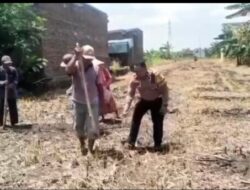 Polsek Tosari Pantau Lahan Kentang di Ngadiwono, Dukung Asta Cita Ketahanan Pangan