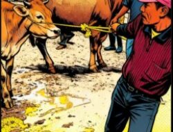 WARGA DESAK USUT TUNTAS DUGAAN KISRUH PENYALURAN BANTUAN SAPI