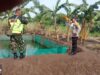Bhabinkamtibmas Kelurahan Pogar Pantau Budidaya Lele untuk Dukung Ketahanan Pangan Nasional