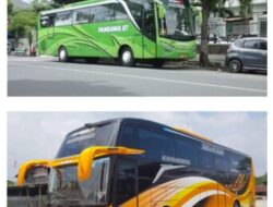 Bus Murah Belum Tentu Aman, Keselamatan Harus Jadi Pertimbangan Utama