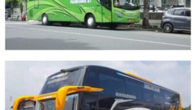 Bus Murah Belum Tentu Aman, Keselamatan Harus Jadi Pertimbangan Utama