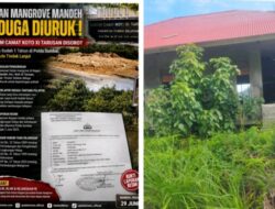 Laporan Dugaan Perusakan Mangrove di Mandeh Mengendap, Publik Tagih Ketegasan Polda Sumbar