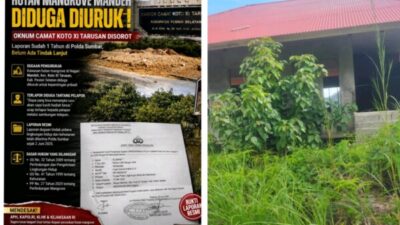 Laporan Dugaan Perusakan Mangrove di Mandeh Mengendap, Publik Tagih Ketegasan Polda Sumbar