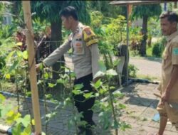 Bhabinkamtibmas Polsek Bangil Dorong Ketahanan Pangan Lewat P2B di Kalirejo