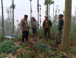 Polsek Tosari Dampingi Petani Bawang, Wujudkan Ketahanan Pangan di Lereng Bromo