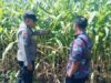 Bhabinkamtibmas Polsek Sukorejo Dorong Petani Optimalkan Lahan Produktif