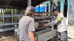 Pantauan Bhabinkamtibmas, Budidaya Kambing di Kauman Tunjukkan Perkembangan Positif