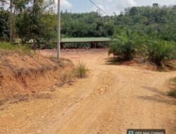 Sawmill Diduga Tampung Kayu Illegal Logging di Kampar Kiri Jadi Sorotan, Polisi Janji Turun Mengecek Lokasi