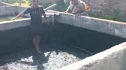 Pantau Budidaya Lele di Genengwaru, Bhabinkamtibmas Pastikan Pertumbuhan Ikan Berjalan Baik