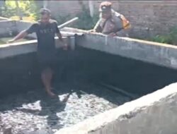 Pantau Budidaya Lele di Genengwaru, Bhabinkamtibmas Pastikan Pertumbuhan Ikan Berjalan Baik