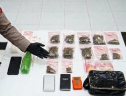Polres Malang Amankan Tersangka Pengedar Narkoba di Kepanjen, Sita Sabu 96 Gram dan Ganja 131 Gram