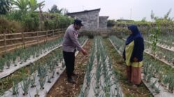 Polri Dampingi Program Pekarangan Pangan Bergizi di Desa Pungging