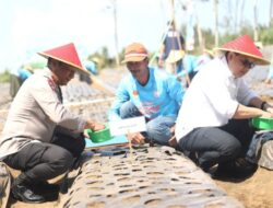 Dukung Swasembada Pangan, Polda Jatim dan Petani Tanam Bawang Putih Serentak