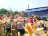 Panen Jagung Pipil KWT Manggis Bukit Kratai, Dukung Program Swasembada Pangan 2026
