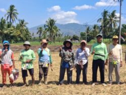 Gerakan Nyata dari Desa Sumbersuko, Polsek Klabang Kobarkan Semangat Swasembada Pangan