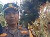 Dalam Rangka HUT RI Ke 81 Pemdes Kemuningsari Kidul Tampilkan Carnaval Spectakuler