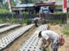 Polsek Nongkojajar Pantau Tanaman Bawang Putih, Dukung Program Ketahanan Pangan Nasional