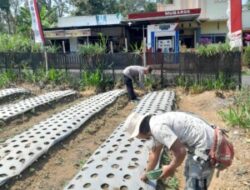 Polsek Nongkojajar Pantau Tanaman Bawang Putih, Dukung Program Ketahanan Pangan Nasional