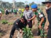 HUT TNI ke-81, Kodim 0822/Bondowoso Tanam 1.000 Pohon,Libatkan Forkopimda dan LSM