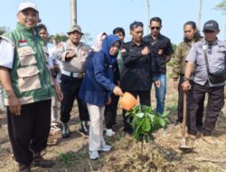 DINAS PERTANIAN DUKUNG PENANAMAN 1000 POHON,DALAM RANGKA HUT TNI Ke-81,LESTARIKAN ALAM UNTUK ANAK CUCU KITA