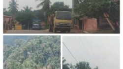 Dugaan Illegal Logging di Kampar Kiri Disorot, Kayu Log Diduga Mengalir ke Sawmill