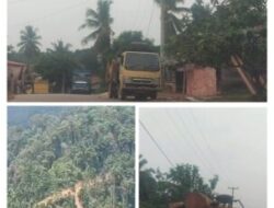 Dugaan Illegal Logging di Kampar Kiri Disorot, Kayu Log Diduga Mengalir ke Sawmill