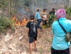 Babinsa Bergerak Cepat, Karhutla Rumpun Bambu di Pakisan Berhasil Dipadamkan