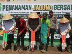 Dukung Ketahanan Pangan Nasional, Kapolres Bondowoso Tanam Jagung Bersama di Lahan Praktik SMK PP Negeri 1 Tegalampel