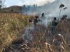 Api Berkobar di Ijen, TNI dan Perhutani Bergerak Cepat Jinakkan Kebakaran di Petak 87